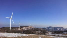 강원도 여행 갈만한 곳 대관령 삼양목장 | 여행