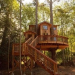 Sądzimy, że mogą Ci się spodobać te Piny - WP Poczta | 트리하우스, 건축