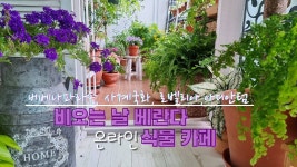 나의 정원~♡에 있는 핀