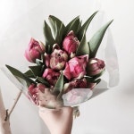 #bloomingswan #bloomingswanflower #꽃꽂이 #꽃집 #원데이클래스 #florist #flowers #블루밍스완  #블루밍스완플라워 #일상 #꽃배달 #웨딩... 