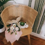화목한 냥이네   화목한 냥이네 | Wicker chair, Wicker, Decor