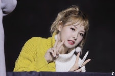 170115 소나무 new sun #뉴썬