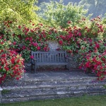 Gardens and Architecture on Instagram: “Part of the Rose Garden at Compton Castle…” | 정원, 배경, 사진