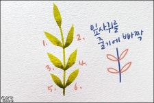 3번째 이미지 | 수채화 강좌, 수채화 아이디어