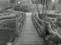 Melrimba Garden Puncak Indonesia | 도로