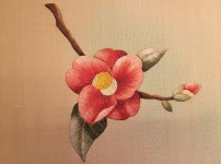 Flores de acuarelas에 있는 Angeles Martín님의 핀 | 민화, 그림, 꽃그림