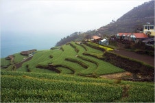 Gachon Darangee Village(가천 다랭이마을), Namhae , Korea | South korea, Outdoor, Farmland