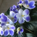 사진에 있는 이주경님의 핀 | 사진