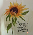 다솜캘리그라피에 있는 화숙 여님의 핀 - 2023