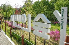 양재시민의 숲 | Outdoor structures, Outdoor, Decor