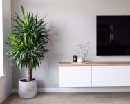 Pin on 식물인테리어