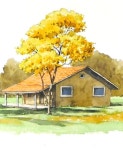 Basic Landscape Watercolor - House and Tree (sketch & color mixing, material introduce) NAMIL ART 기초 풍경수채화 - 집과 나무 (스케치... 