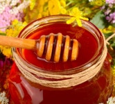 Honey slime | 꿀