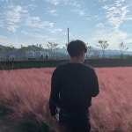 🌸 . . . . .  김천  김천대학교  23  오오티디  1  반신샷  핑크뮬리  이쁘다 | Instagram, Riding helmets, Instagram posts