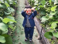 “딸기썬그라스😎 딸기 엄청 잘따구영ㅋㅋㅋㅋㅋ 무지 좋아하구 1년에 한번 가볼만해용🍓 . #인천#딸기농장#현이농장” | 일상
