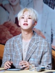 ʟɪᴇʙʟɪᴄʜ : 리플리히 on in 2020 | Seventeen performance team, Hoshi seventeen, Seventeen leader