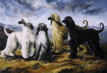 Pin by 고승완 on 아프간하운드 | Dog art, Afghan hound, Beautiful dogs
