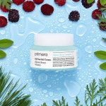 프리메라에센셜씨드트리트먼트톤업