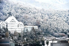 눈만 오면 겨울왕국 속 ‘아렌델성’ 느낌 그대로인 조선대학교 전경(이미지 포함) | 개잎갈나무, 광주광역시, 아름다운