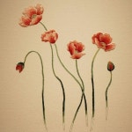 #야생화자수 #양귀비 #두메양귀비 #꿈소 #꿈을짓는바느질공작소 #embroidery #poppy | 일본 자수, 기계 자수 디자인, 양귀비