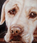 In Memorandum custom Pet Portrait Paintings by by puciPetPortraits, $197.00 | 개