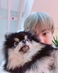 BTS에 있는 ㅇㅅㅇ님의 핀 | 박지민, 지민, 방탄소년단