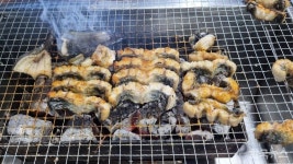 [맛집멋집] 바다 조망 건강 맛집 항포벌떡장어...주인이 직접 키워 판매하는 맛집 | 양식, 건강