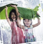 Pin von 뜰방 auf 꽃 (mit Bildern) | Im regen tanzen, Sommerregen, Bilder