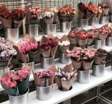 pinterest; @x0_jesss ♡ | 꽃집, 예쁜 꽃, 꽃꽂이