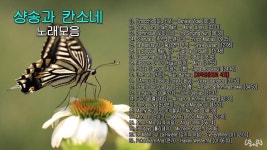 마음을 다스려 주는 노래: 별밤이 생각나는 샹송과 칸소네모음(Chanson & Canzone) - Pinocchio, 外 19곡 | 노래, 추억, 비