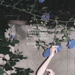그날의 달에 있는 그날의 달님의 핀(이미지 포함) | 인용문, 명언, 배경화면