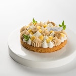 #쿠킹랩 #SPC쿠킹랩 #cookinglab #spccookinglab . #망고 #카라멜 #망고타르트 #디저트 #타르트 … | 음식, 타르트, 케이크 디자인