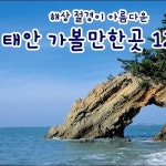 안면도자연휴양림 | 여행
