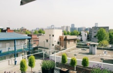 greenhouse cafe에 있는 핀