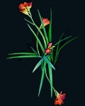꽃 flower