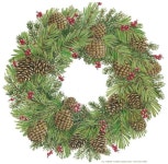 Pinecone Wreath | 리스