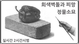 미도움 소묘/수채화에 있는 핀