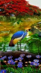 Animals에 있는 Kennie Song님의 핀 | 새, 경치, 풍경 사진