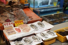 노량진 수산시장 공략 팁! 활어회 바가지 안쓰고 사먹는 방법(수산시장 회 가격/이용팁/시세)