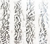 t117 A texture 비엔리 25