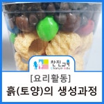 [찬진교육] 흙의 생성과정/ 토양의 생성과정/ 흙과 우리생활/ 요리활동/ 요리놀이/ 유아요리활동/ 유치원/ 어린이집/ 유아교육/ 특수교육... 