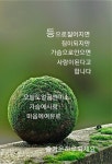 배경화면에 있는 이혜미님의 핀 | 좋은 아침 이미지, 좋은 아침 인사, 자연 사진