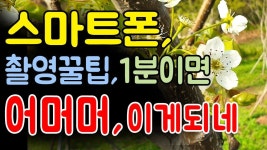 1분이면 전문가, 스마트폰 사진촬영 5가지 꿀팁, 너무편리한 기능 이거만 하면 초보자도 촬영 전문가, 음성인식 촬영, 움직이는 셔터버튼... 