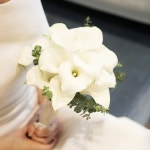 단아단아 . . . #카라부케 #도비실크드레스 #에고스포사 #wedding #weddings #모마스냅 #weddingdress by hajeong.kim | Homepage