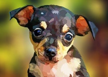 Modern Dog Art에 있는 Dog Portraits님의 핀 | 그림, 팝아트