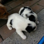 함안 이상익선생님이 운영하시는 새길동산 마당. 아직 눈을 감고 있네요. | 마당