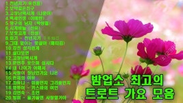 밤업소 최고의 트로트 가요 모음 - 중년들이 좋아하는 추억의 트로트 메들리 - 신나는 운전할때 듣는 노래 운동할때 듣는 노래 (Có hình ảnh)