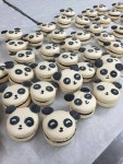 panda macarons | 디저트