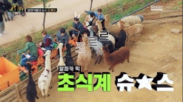 Seezn(시즌) on in 2020 | Nct dream, Nct, Nct 127