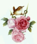 Porcellana dipinta di 이선정 su 포슬린페인팅 | Dipinti, Fiori dipinti